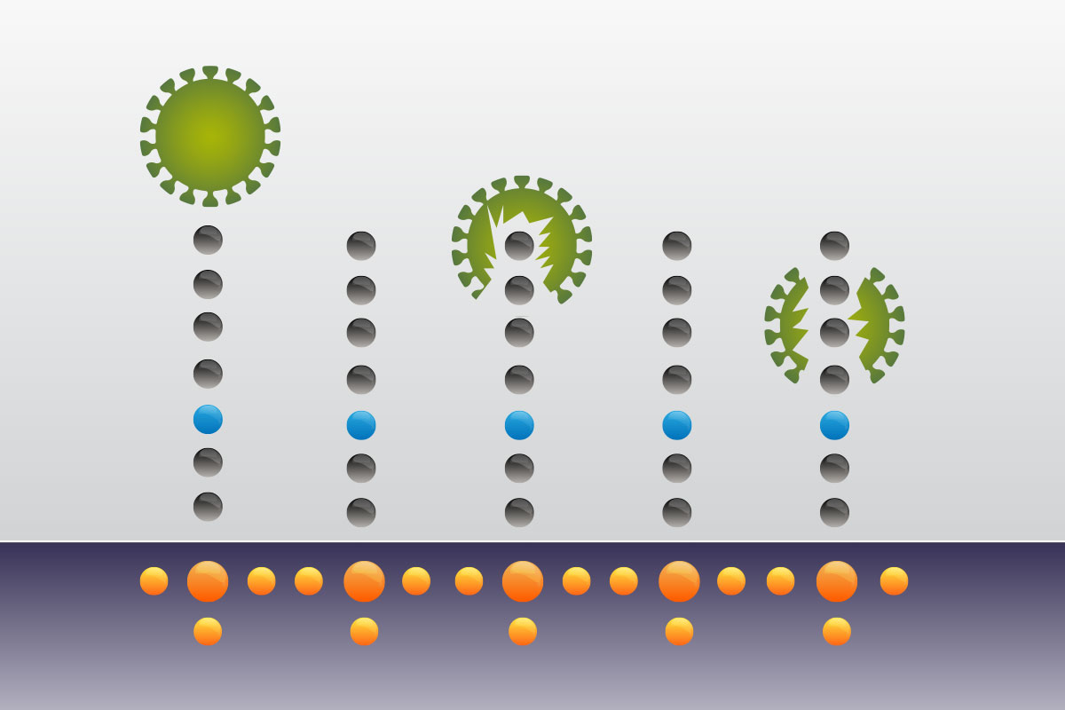 germ-diagram